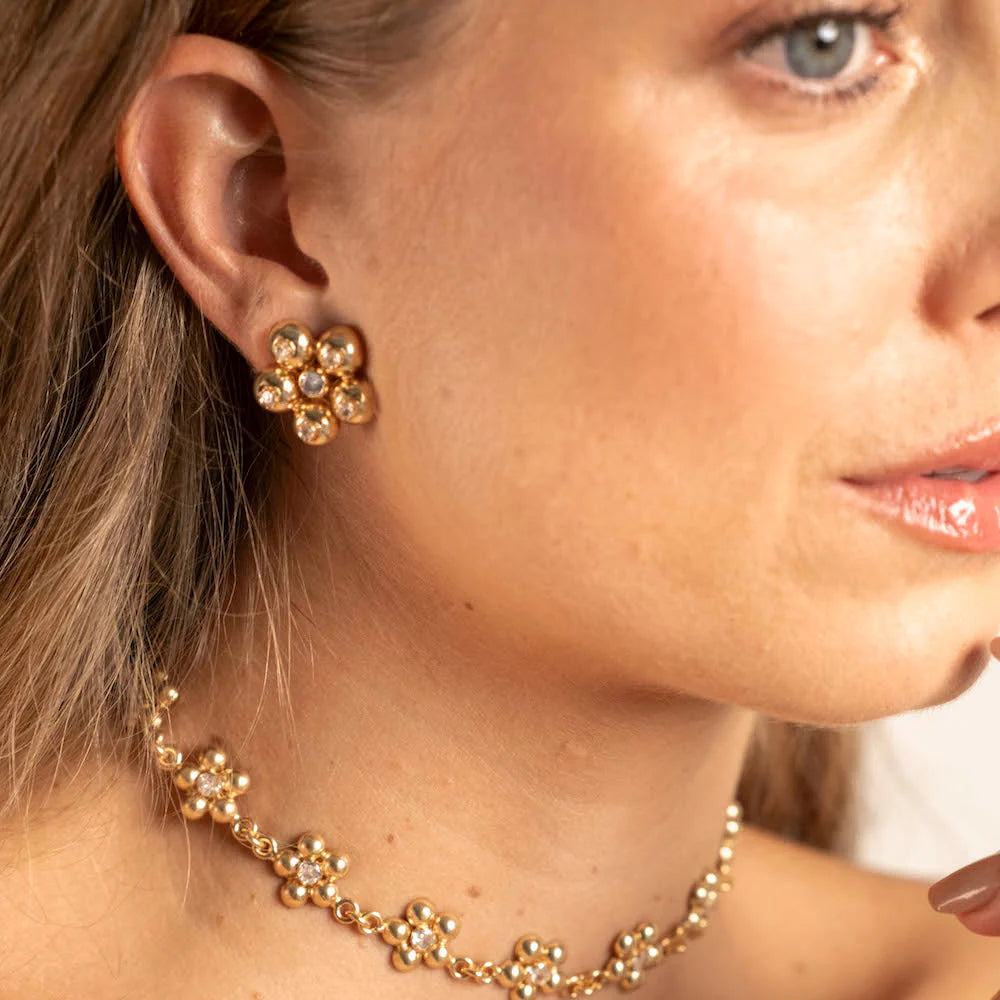 Topos Renacer