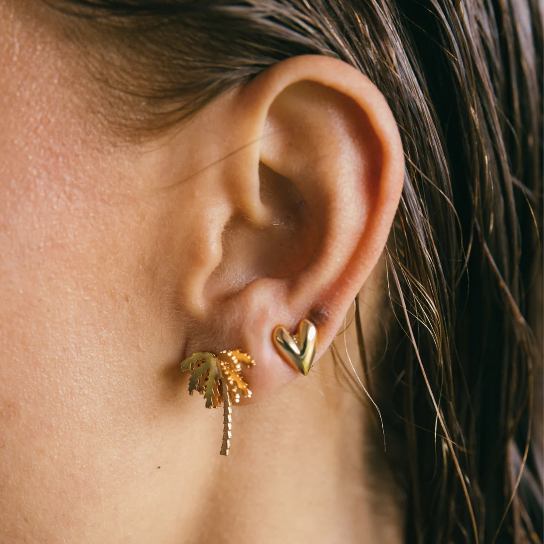 Set Topos Selvática