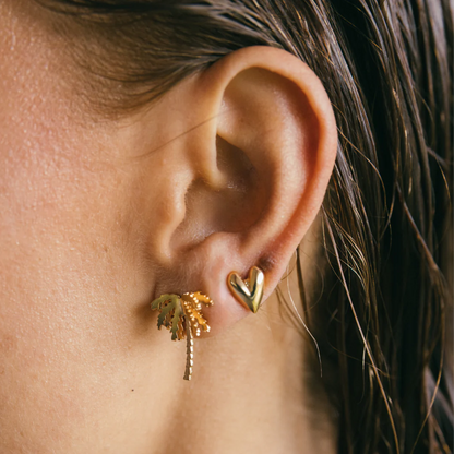 Set Topos Selvática