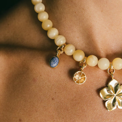 Cadena Sol del Trópico