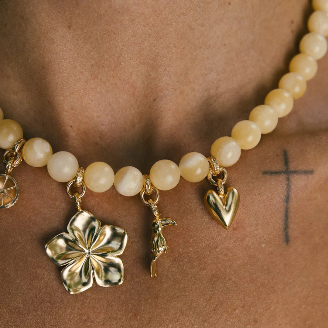 Cadena Sol del Trópico