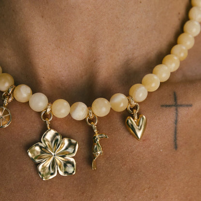 Cadena Sol del Trópico