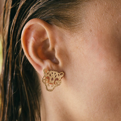 Set Topos Selvática