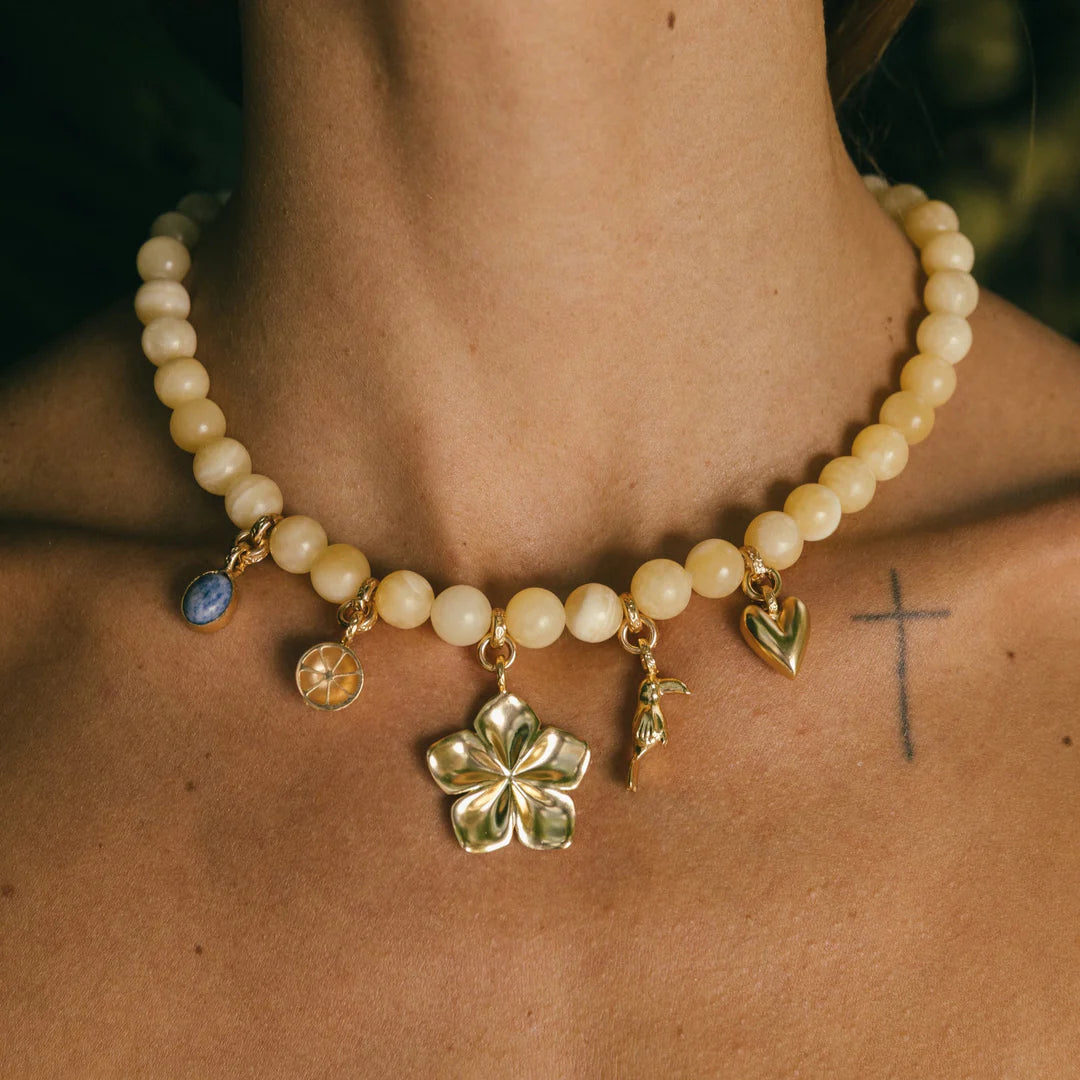 Cadena Sol del Trópico