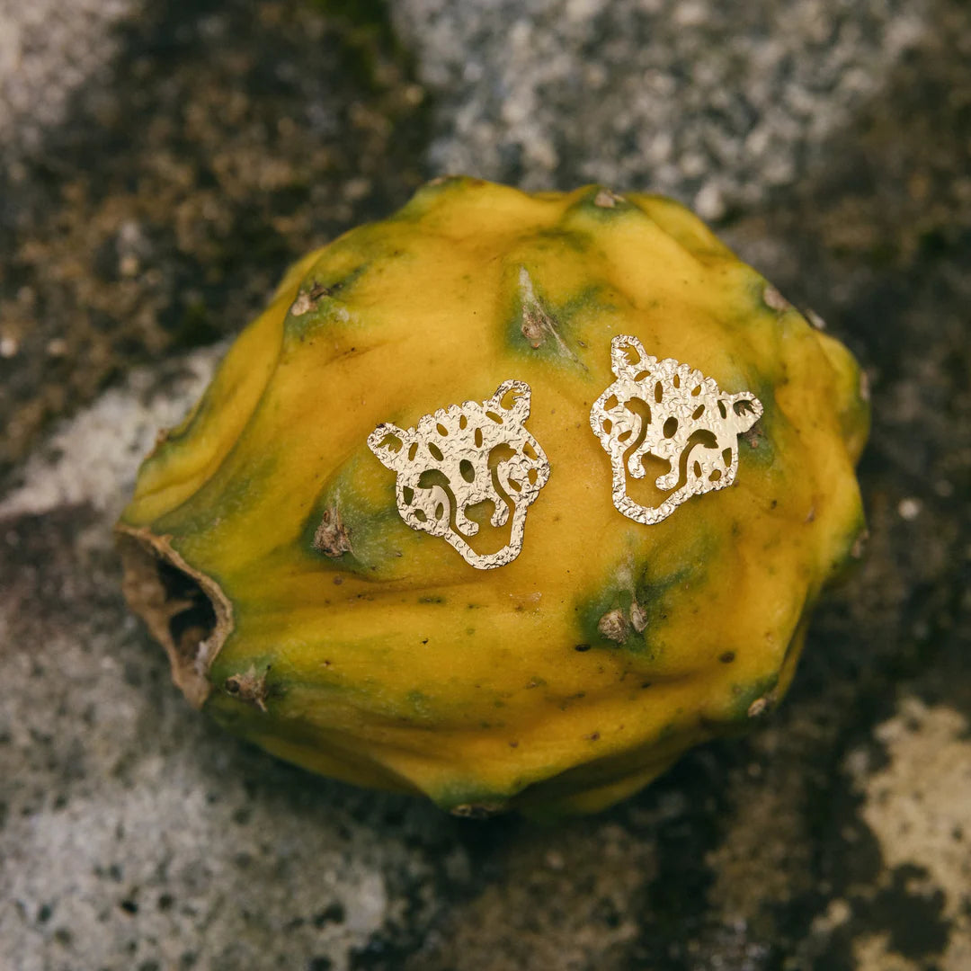 Set Topos Selvática