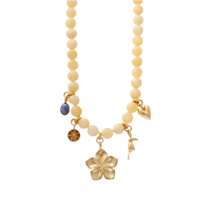 Cadena Sol del Trópico