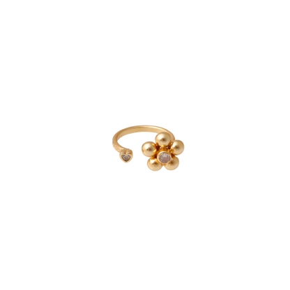 Anillo Nuevo Amor