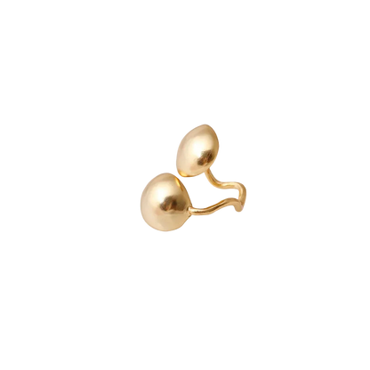 Anillo Roma